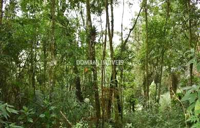Imagem 6: Terreno à Venda com Preço Baixo na Região do Vale Encantado - Campos do Jordão/SP