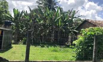 Imagem 6: Vendo terreno em povoado de Itaporanga Povoado Salvador 38.000