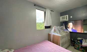 Imagem 5: Jardim Paradiso Alpinia