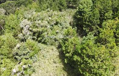 Imagem 5: Ampla Área de Terreno à Venda na Região do Alto da Boa Vista - Campos do Jordão/SP