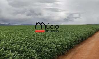 Imagem 2: São Luís de Montes Belos 70 alqueires