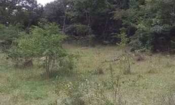 Imagem 5: Excelente chacara