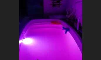 Imagem 2: Alugo loft pra temporada a 200 metros da praia em monte alto arraial do cabo