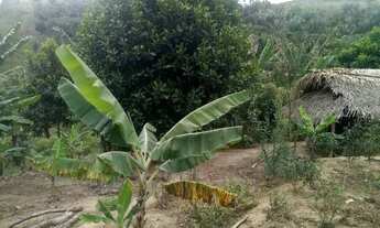 Imagem 5: Sitio em Colônia de Leopoldina obs: leiam a descrição