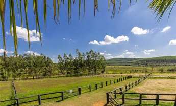 Imagem 7: Haras Espetacular em Sarapuí!