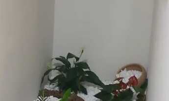 Imagem 6: Casa alto padrão em lote de 800m2