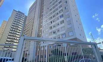 Imagem: Apartamento-Água Branca