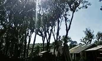 Imagem 3: Vendo terreno em Rancho Queimado