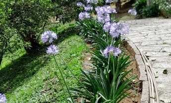 Imagem 2: Casa linear em Petrópolis, Bonito local, próximo a Corrêas e Araras