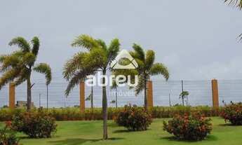 Imagem 5: PARNAMIRIM - Terreno Padrão - Pium (Distrito Litoral