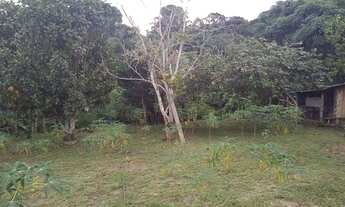 Imagem 6: Chácara 70 mil em Cariacica