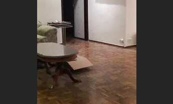 Imagem 4: Apartamento para aluguel possui 127 metros quadrados com 3 quartos em Vila Mariana - São P