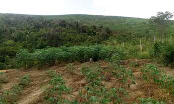 Imagem 2: Sitio em Colônia de Leopoldina obs: leiam a descrição