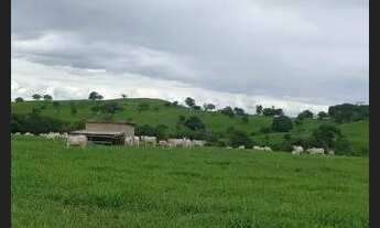 Imagem 7: Fazenda de 614.2286 hect em nova américa Goiás R$:21 milhões