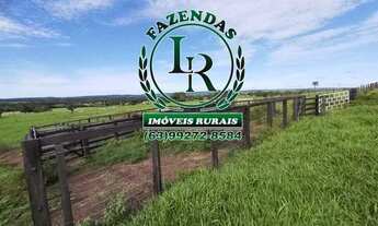 Imagem 2: Chácara/Fazenda 11 alqueires Próximo a Palmas