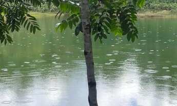 Imagem 5: Chácara 40 mil m²/ taquaruçu Palmas