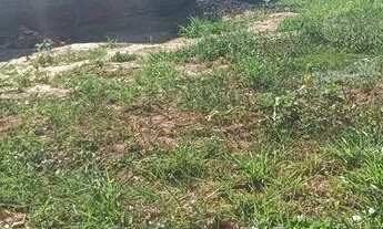 Imagem 3: Terreno em Uchoa SP