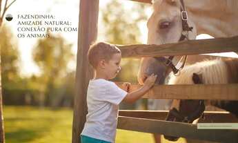 Imagem 6: Ágio Fazenda Lumiar 766m²