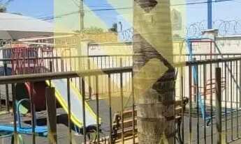 Imagem 2: Apartamento- 2 quartos, Sala, 1 vaga, 42m²- Morada do Sol