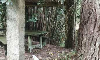 Imagem 7: 2 hectares com cachoeira apenas 197 mil reais lindo