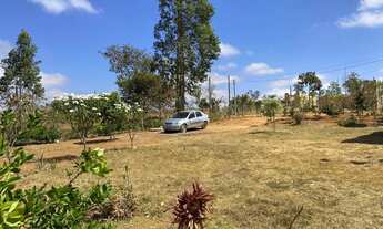 Imagem 7: CHÁCARA DE 3 mil metros com piscina e pomar