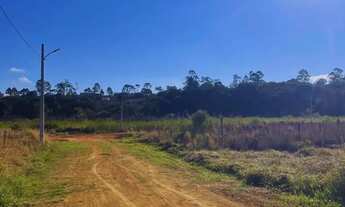 Imagem 4: Ideal para quem quer sair do papel