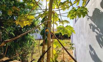 Imagem 5: Terreno Vila Mariana