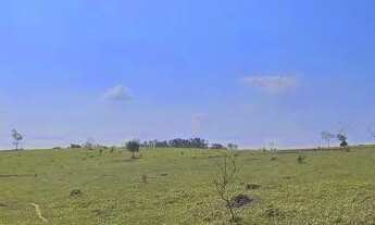 Imagem 6: FAZENDA - PARQUE VALINHOS - SP