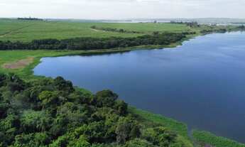 Imagem 5: Fazenda de cana 140 alqueires Região de Piracicaba SP