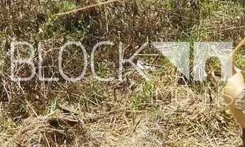 Imagem 3: Recreio dos Bandeirantes