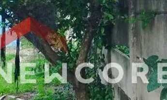 Imagem 2: Casa em Rua Igarapava - Cruzeiro - Betim/MG