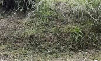 Imagem: EXCELENTE TERRENO EM CONDOMÍNIO FECHADO