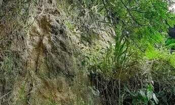 Imagem 6: Área à venda, 2850 m² por R$ 2.000.000,00 - Fonseca - Niterói/RJ