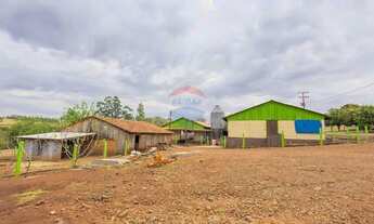 Imagem 7: Granja de Suínos Terminação