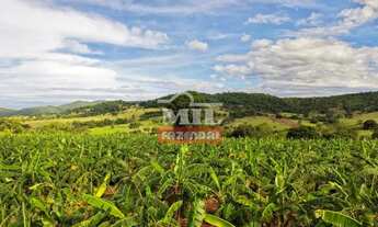 Imagem 7: Chácara 11,73 alqueires (56 hectares) Taquaral - Go