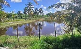 Imagem 5: Chácara em Piaçabuçu a venda