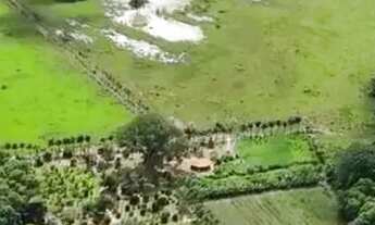 Imagem: OPORTUNIDADE ÚNICA BELÍSSIMA FAZENDA