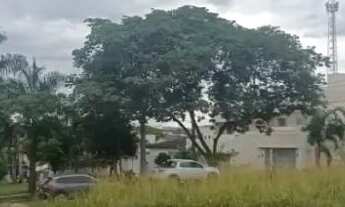 Imagem 2: Terreno, lote 477, Setor Clea Borges, ao lado do setor Agua Branca e Riviera