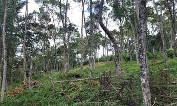 Imagem 3: Lote em Rua Felício Raimundo - Jaguaribe/Abernéssia - Abernessia - Campos do Jordão/SP