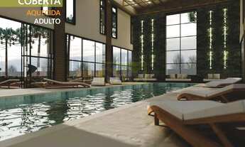 Imagem 7: Terreno à venda Rio Pequeno São José dos Pinhais/PR