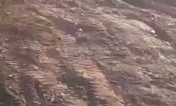 Imagem 5: Terreno reserva Macauba 263 metro