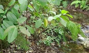 Imagem 4: Excelente lote dentro de condomínio fechado em Pedro Leopoldo