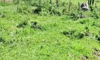 Imagem: Sitio em Desterro de Entre Rios MG 9 hectares