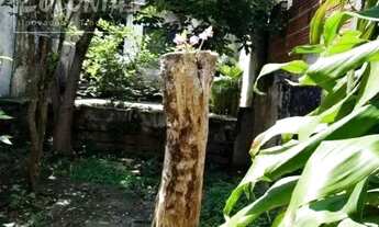 Imagem 7: Terreno a venda - Vila Eldízia, Santo André