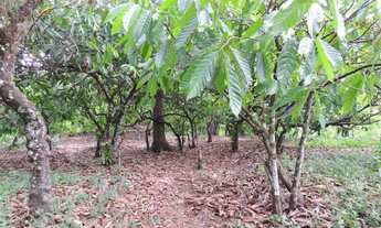 Imagem 6: Vendo fazenda, excelente para plantar café ou eucalípto