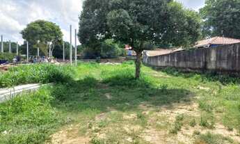 Imagem 7: Terreno COM 1.300M2(20X65(à Venda na Frente da Praia de Alter do Chão, Santarém PA