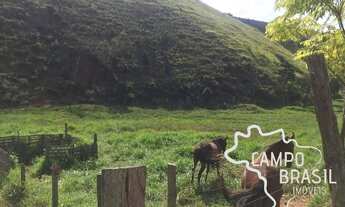 Imagem 5: Campo Brasil Imóveis, realizando seu sonho rural! Chácara de 8.000 m² bem localizada!