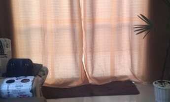 Imagem 3: Linda Casa em Realengo