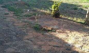 Imagem 5: Terreno Comercial