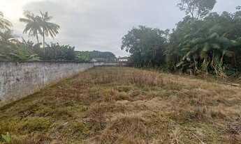 Imagem 5: JOINVILLE - Terreno Padrão - Vila Nova